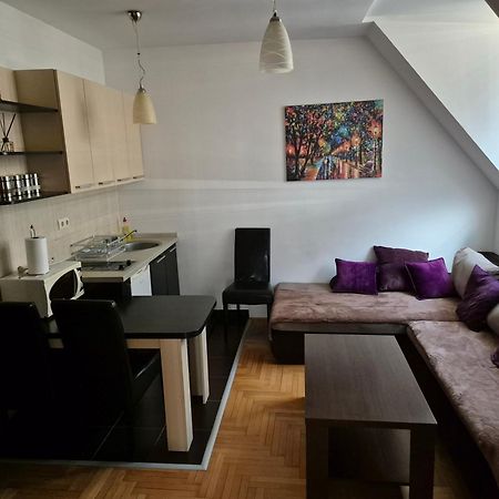 Kraljevski Apartman كوباونيك المظهر الخارجي الصورة